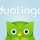 Duolingo and gamification